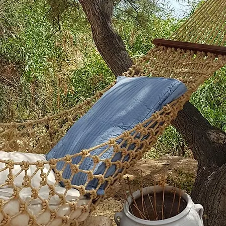 Hacienda Maxine *
